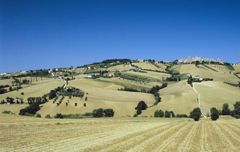 Potenza Picena, classico paesaggio estivo