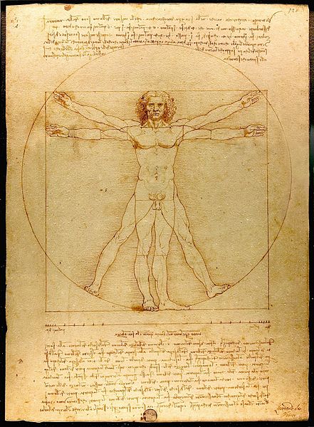 L'uomo vitruviano di Leonardo da Vinci del 1492