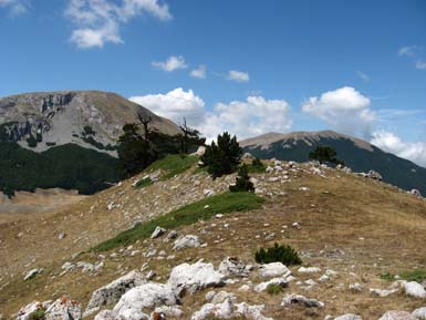 Der Nationalpark Pollino, der größte Italiens