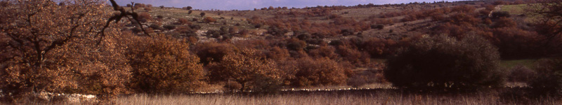 spinazzola bauxite quarry